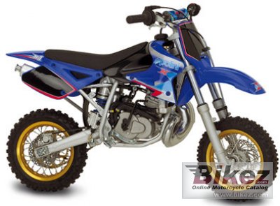 2005 polini mini supermotard photo